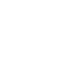 Houston Criminal Defense Lawyer icon 5 money bag icon