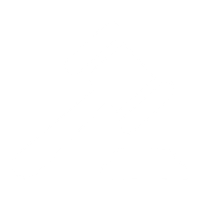 Insurance Disputes icon 1 gavel icon